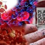 Polusi Mikroplastik dalam Darah: Ancaman Kesehatan Global dan Cara Menghindarinya